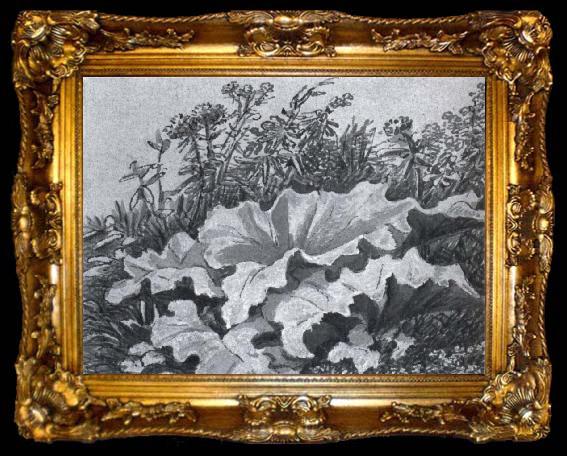 framed  Johann Wolfgang von Goethe Plant study, ta009-2